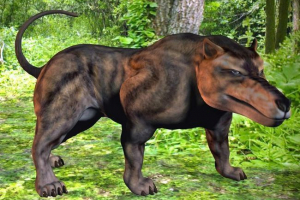 Andrewsarhus - хижацький предк ссавців Andrewsarhus - хижацький предк ссавців