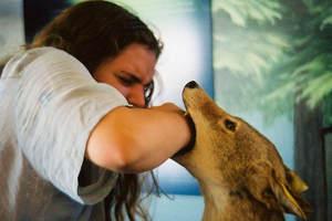 Які мрії собак укусів? Які мрії собак укусів?