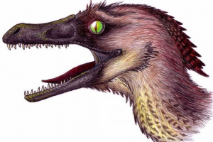 Як був витік? Як був витік?