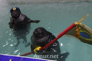 Як іркутськ нерс привітав ветеранів з святом перемоги Як іркутськ нерс привітав ветеранів з святом перемоги