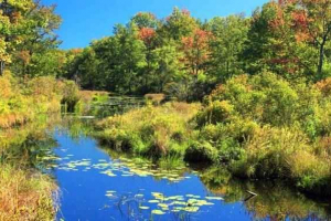 Яка різниця між озером і ставком? Яка різниця між озером і ставком?