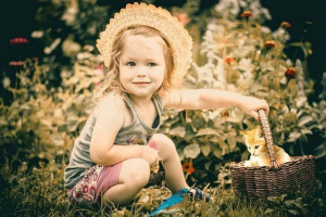 Які породи котів найкращі для сімей з маленькими дітьми? Які породи котів найкращі для сімей з маленькими дітьми?