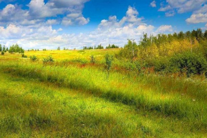 Який клімат характерний для росії - арктика, сумаркова, поміркована і субтропічна Який клімат характерний для росії - арктика, сумаркова, поміркована і субтропічна