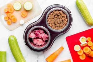 Який корм найбільш підходить для собак Який корм найбільш підходить для собак