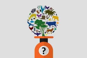 Яка загальна маса живого агента в біосфері землі? Яка загальна маса живого агента в біосфері землі?