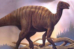 Камптозавр Камптозавр