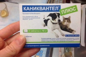 Плюс плюс - як працює наркотики? Плюс плюс - як працює наркотики?