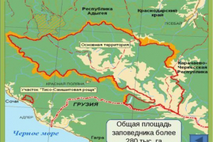 Кавказький заповідник Кавказький заповідник