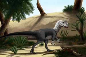 Лестовий Лестовий