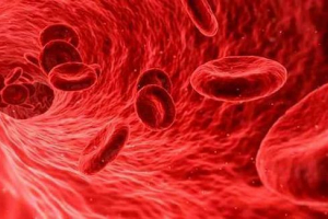 Стільниковий рух: як відбувається основні функції Стільниковий рух: як відбувається основні функції