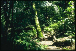 Кліматичні зони землі Кліматичні зони землі