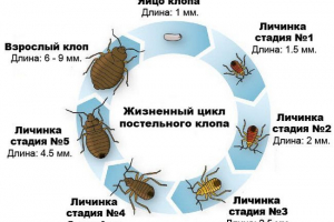 Килимок Килимок