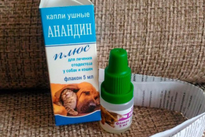 Коли випускаються краплі для котів анандин, і як застосовувати їх правильно? Коли випускаються краплі для котів анандин, і як застосовувати їх правильно?