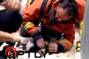 Колумбійська поліція врятувала собаку, яка впала в бурхливий потік Колумбійська поліція врятувала собаку, яка впала в бурхливий потік