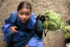 Підйомники в inekekoms Підйомники в inekekoms