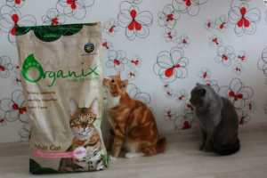 Organix cat food: аналіз складу та відгуків Organix cat food: аналіз складу та відгуків