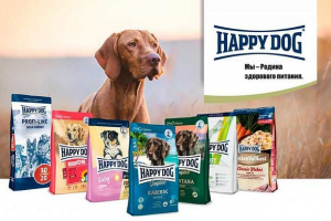 Щаслива їжа собака - плюси і мінуси Щаслива їжа собака - плюси і мінуси