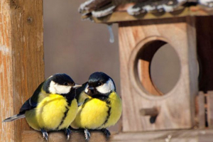Синіс-фідер - виготовлення секретів Синіс-фідер - виготовлення секретів