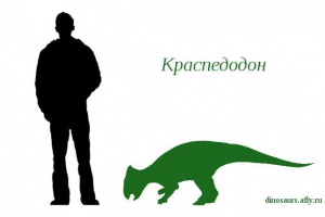 Колиска Колиска