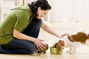 Критерії при виборі корму собаки Критерії при виборі корму собаки