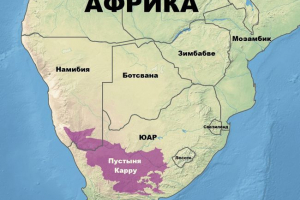 Найбільші пустелі, розташовані в африці - характеристики, фотографії та карти Найбільші пустелі, розташовані в африці - характеристики, фотографії та карти