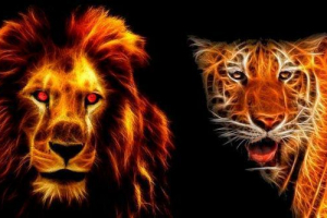 Хто виграє бій? Лев або тигр Хто виграє бій? Лев або тигр