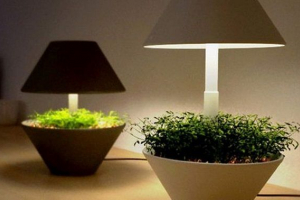 Лампа заряджена з квітів Лампа заряджена з квітів