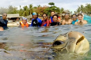Кращі тварини-бомбардувальники Кращі тварини-бомбардувальники