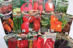 Найкращий вибір високоякісного посіву в агрофірма сибірський сад Найкращий вибір високоякісного посіву в агрофірма сибірський сад