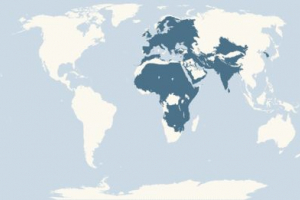 Луговий курган Луговий курган