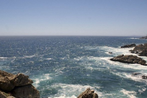 Знайшов істоту з головою, але без тіла Знайшов істоту з головою, але без тіла