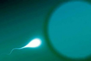 Огамія Огамія