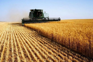 Захист тваринного світу Захист тваринного світу