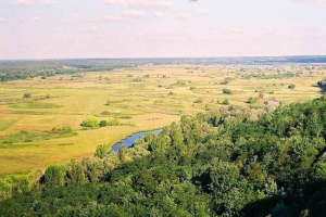 Опис та особливості природної зони лісостепу Опис та особливості природної зони лісостепу