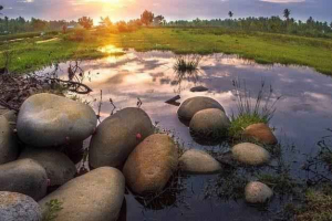 Визначення, характеристики, приклади та захист біотопів Визначення, характеристики, приклади та захист біотопів