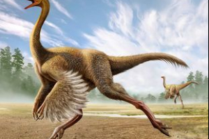 Орнітіт Орнітіт