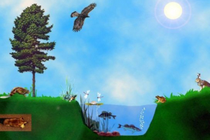 Основні життя життя Основні життя життя