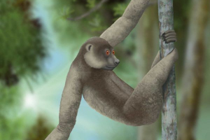 Палеопропітек Палеопропітек