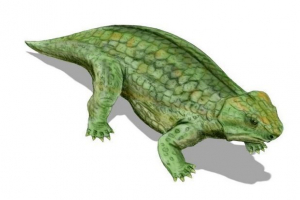 Парадитілія Парадитілія