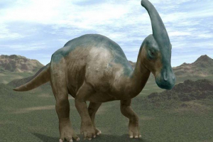 Парасаволофус Парасаволофус