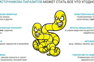 Паразити Паразити