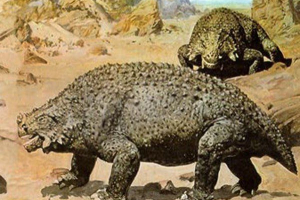 Парезавр Парезавр