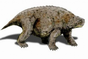 Паріазаури Паріазаури