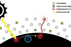 Парниковий ефект в атмосфері: що викликало і як впливає на глобальне потепління? Парниковий ефект в атмосфері: що викликало і як впливає на глобальне потепління?