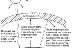 Парниковий ефект Парниковий ефект