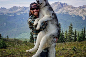 Лок локі знову став зіркою youtube Лок локі знову став зіркою youtube