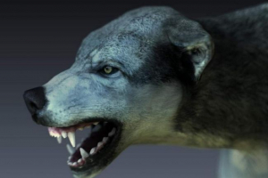 Чому люди бояться собак?