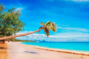 Чому морська вода синя, синя, зелена, червона і коричнева? Чому морська вода синя, синя, зелена, червона і коричнева?