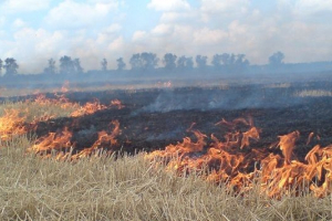 Аномалії погоди загрожують аграріям Аномалії погоди загрожують аграріям
