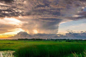 Приклади сезонних явищ живого і неживого характеру Приклади сезонних явищ живого і неживого характеру